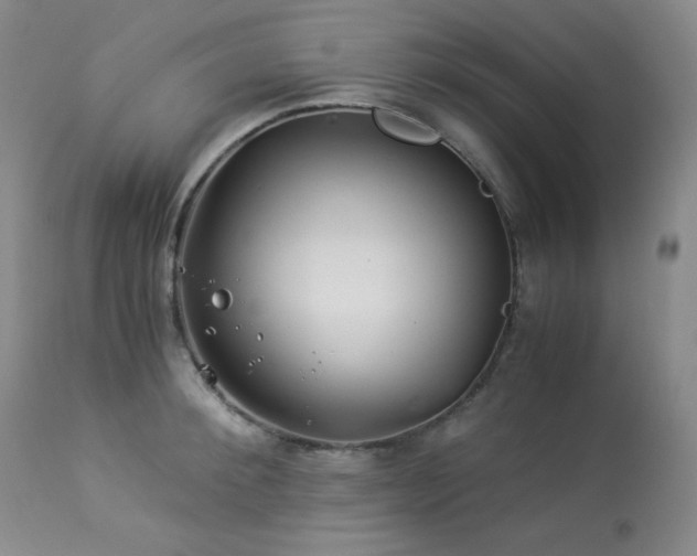 X0000113990900200910021219