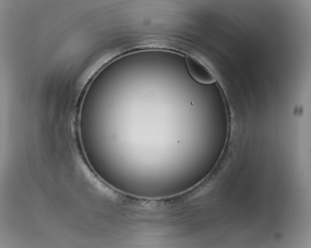 X0000113990901200910021219