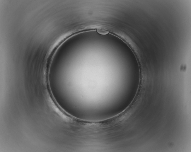 X0000113990902200910021219