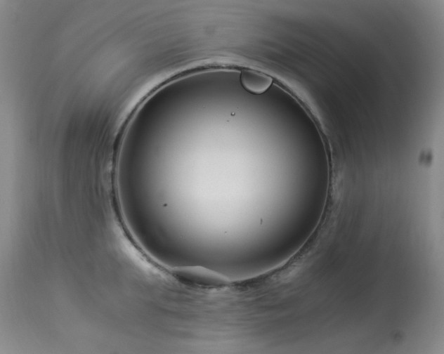 X0000113990903200910021219