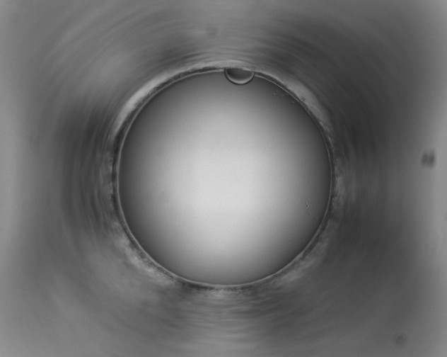 X0000113990904200910021219