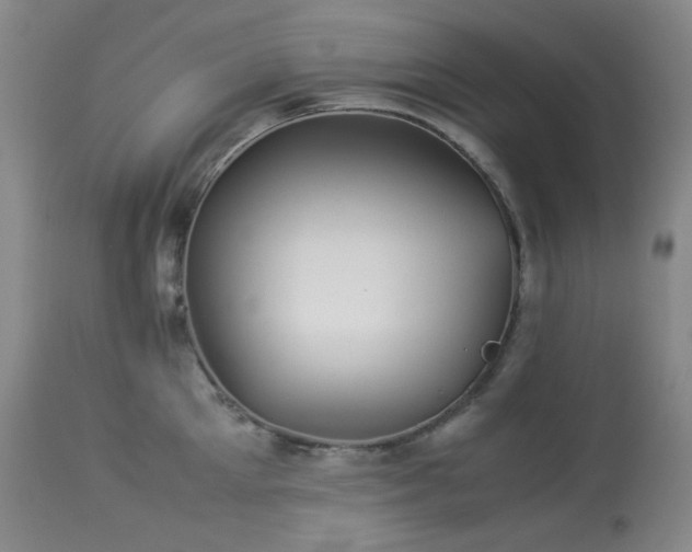 X0000113990905200910021219