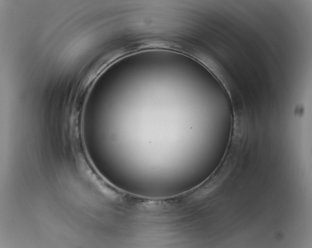 X0000113990906200910021219