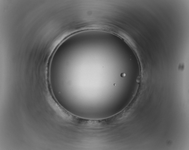 X0000113990907200910021219