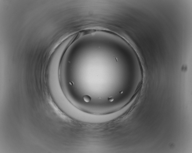 X0000113990909200910021219