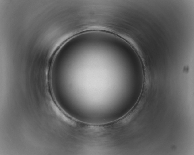 X0000113990910200910021219