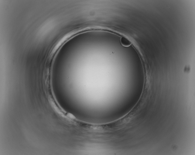 X0000113990911200910021219