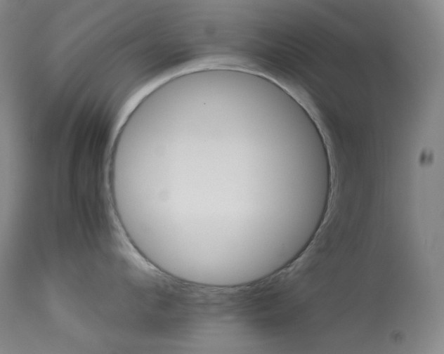 X0000113990912200910021219