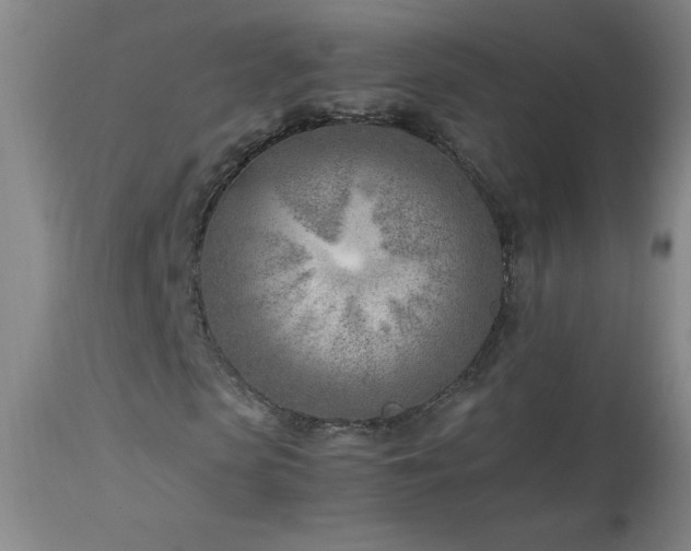 X0000113990913200910021219