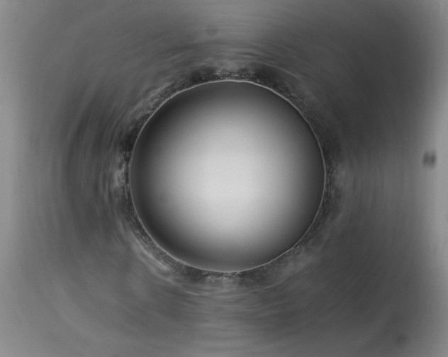 X0000113990914200910021219