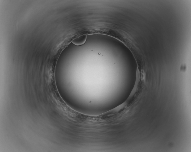 X0000113990915200910021219