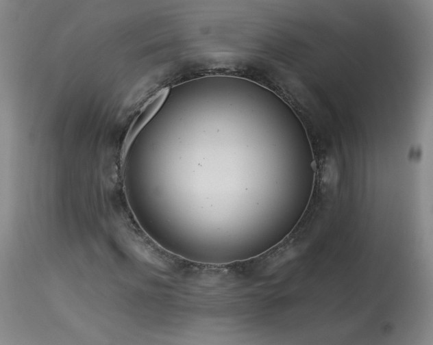 X0000113990916200910021219