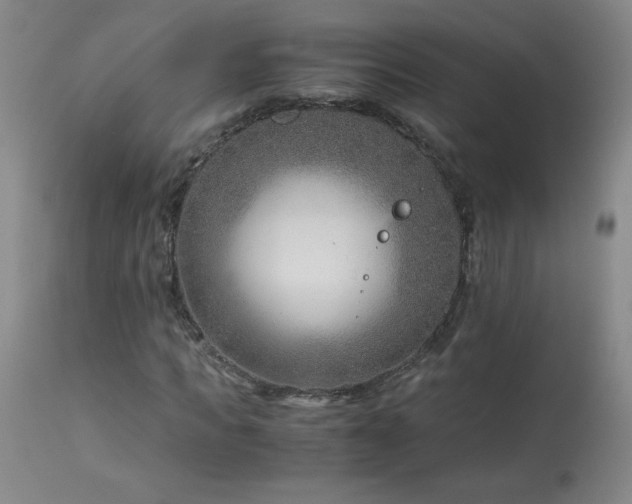 X0000113990917200910021219