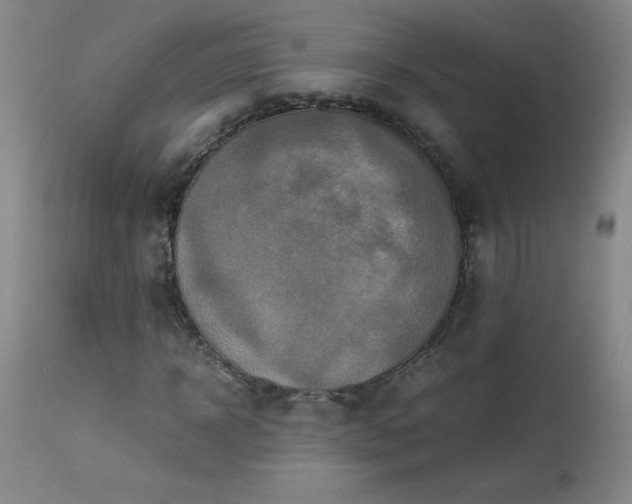 X0000113990918200910021219