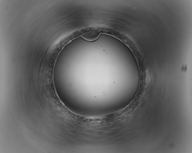 X0000113990919200910021219