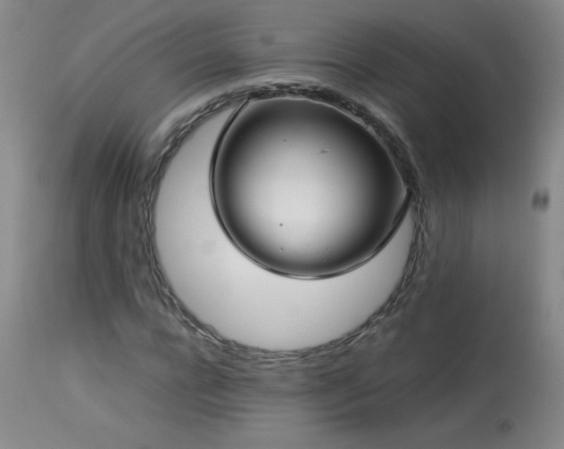 X0000113990920200910021219