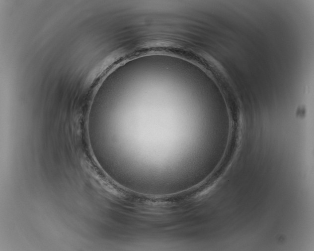 X0000113990921200910021219