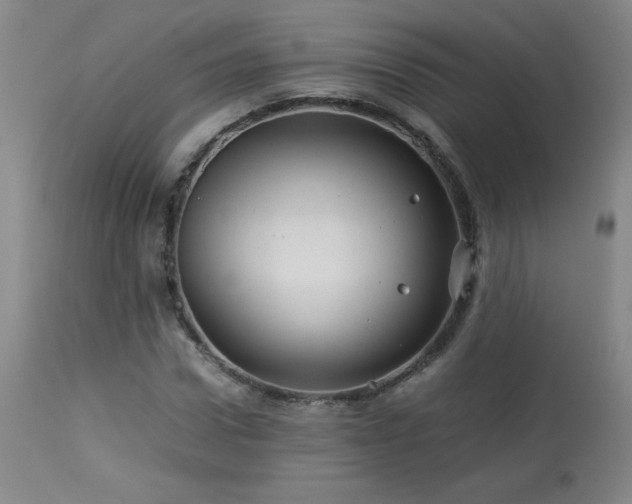 X0000113990922200910021219