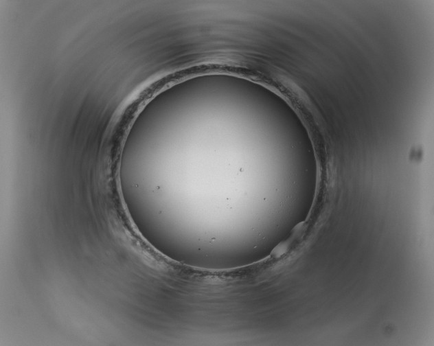 X0000113990923200910021219