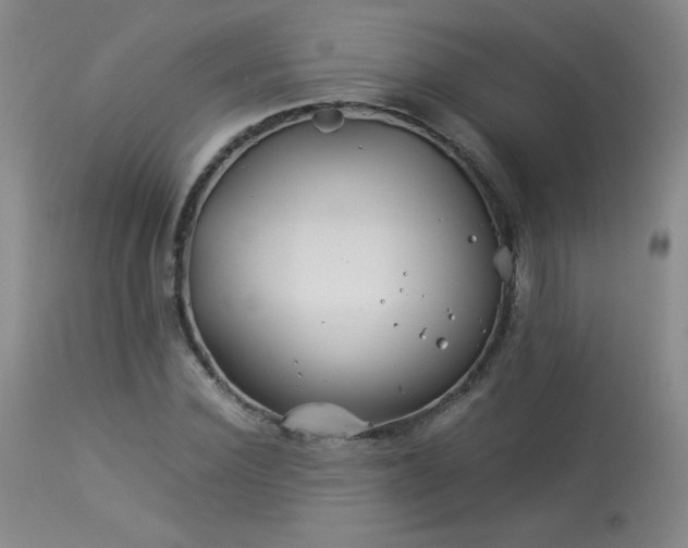 X0000113990924200910021219