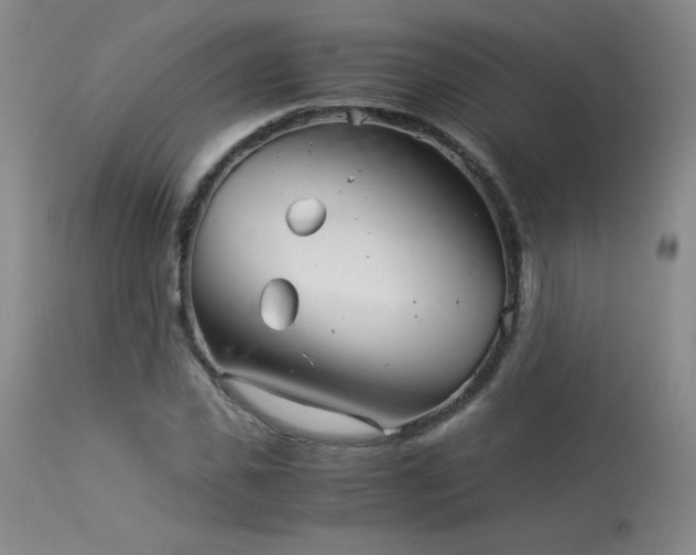 X0000113990925200910021219