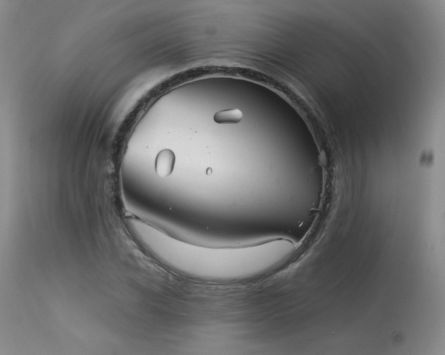 X0000113990926200910021219