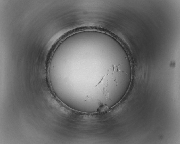 X0000113990927200910021219