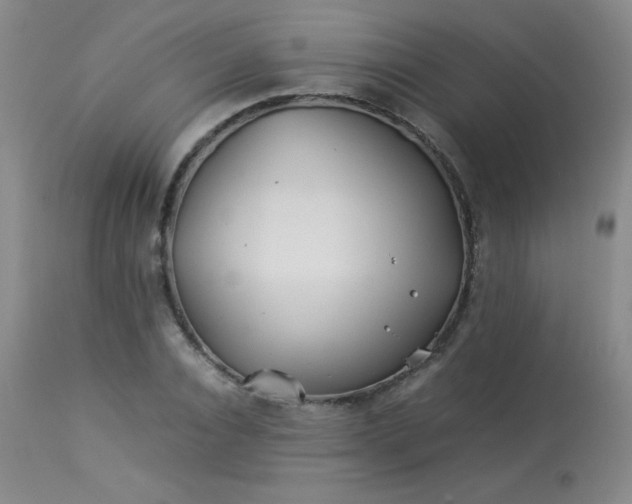 X0000113990928200910021219