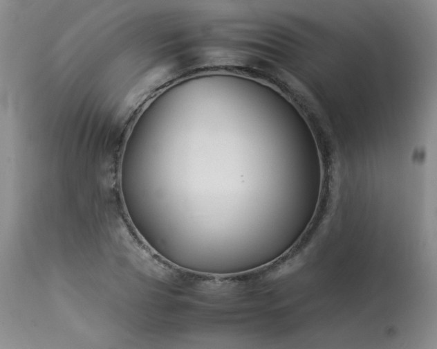 X0000113990929200910021219