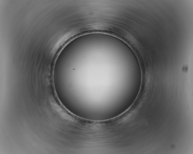 X0000113990930200910021219