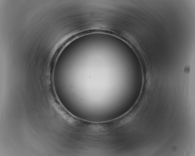 X0000113990931200910021219