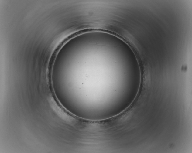 X0000113990932200910021219