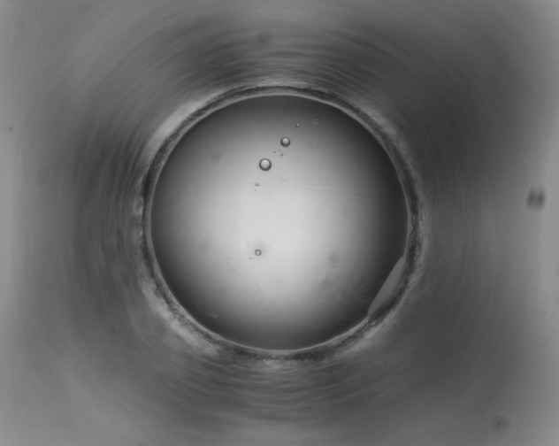 X0000113990933200910021219