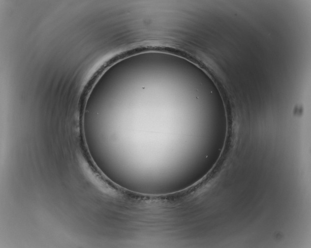 X0000113990934200910021219