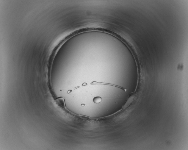 X0000113990935200910021219