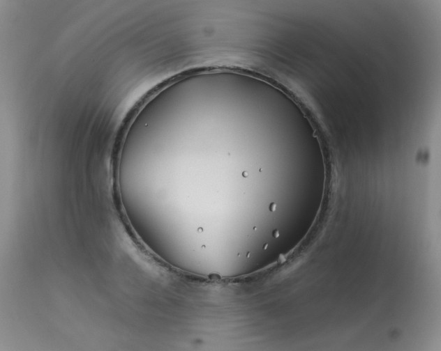 X0000113990936200910021219