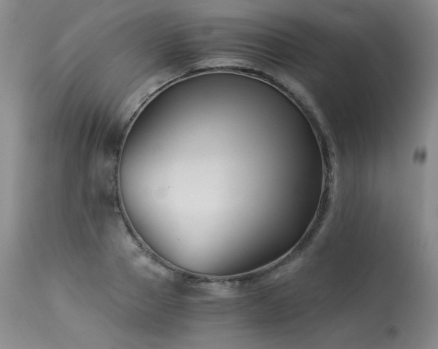 X0000113990937200910021219