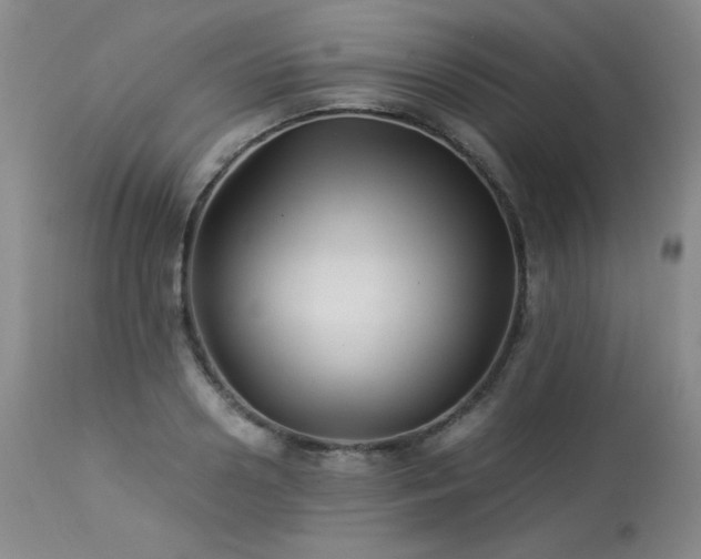 X0000113990938200910021219