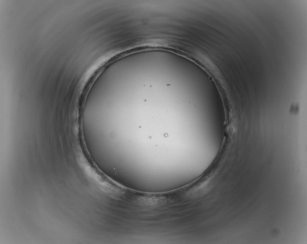 X0000113990939200910021219