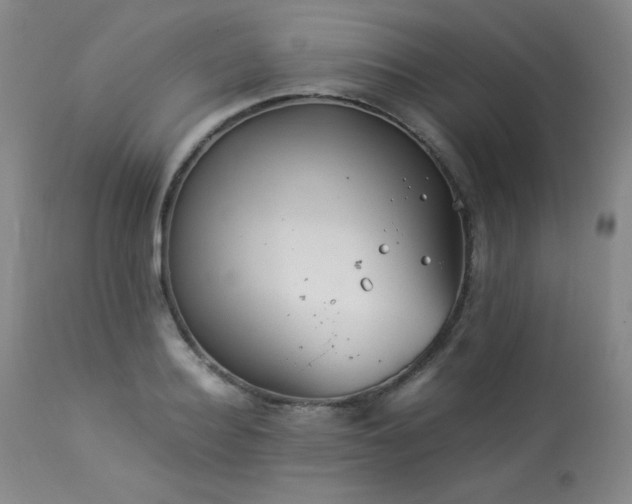 X0000113990940200910021219