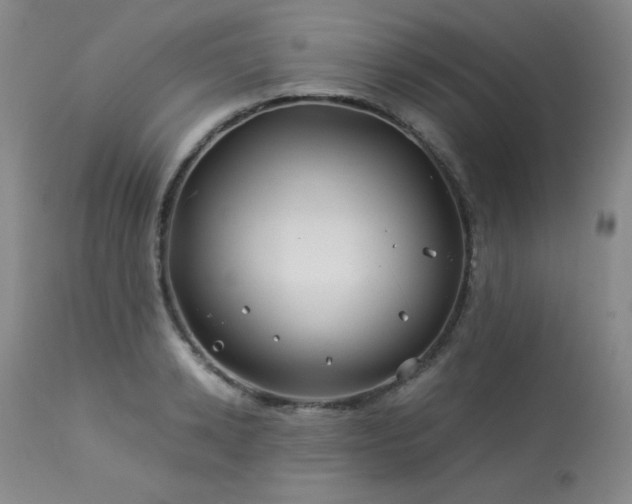 X0000113990942200910021219