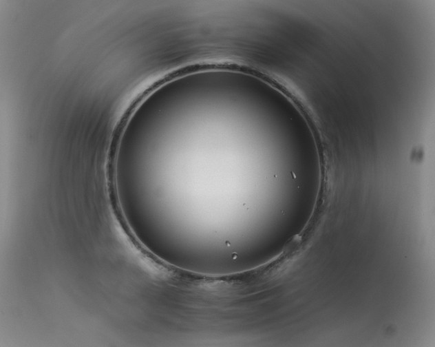 X0000113990943200910021219