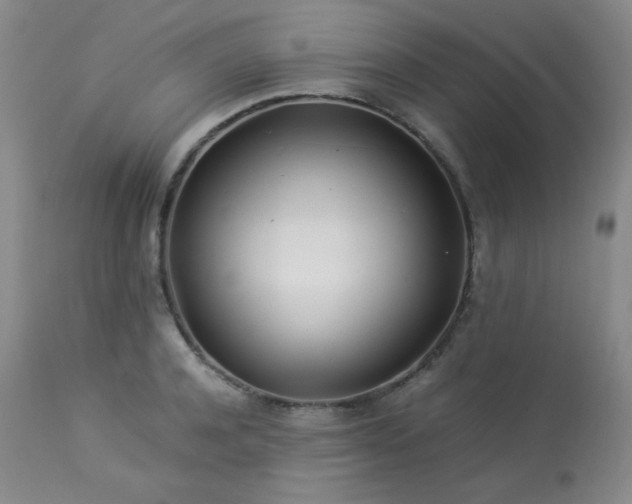 X0000113990944200910021219