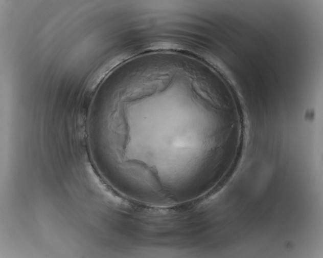 X0000113990945200910021219