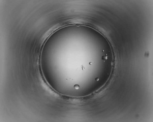 X0000113990946200910021219