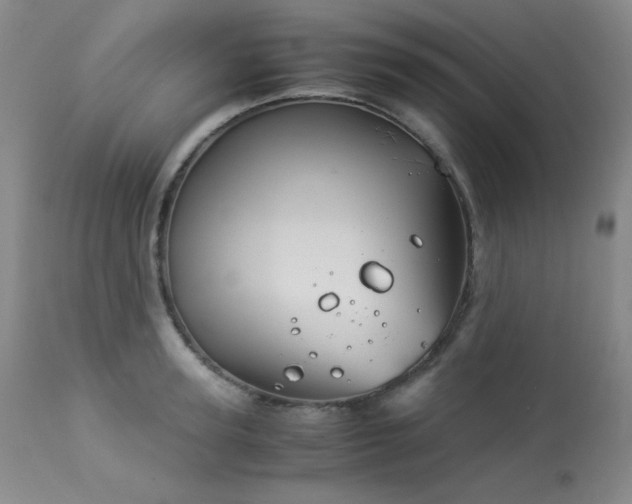 X0000113990947200910021219