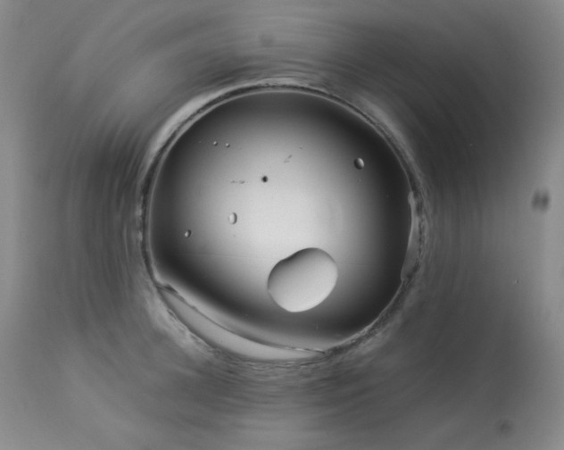 X0000113990948200910021219