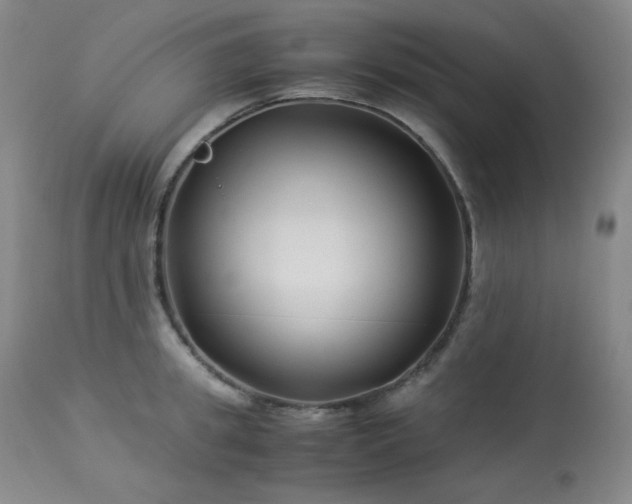 X0000113990949200910021219