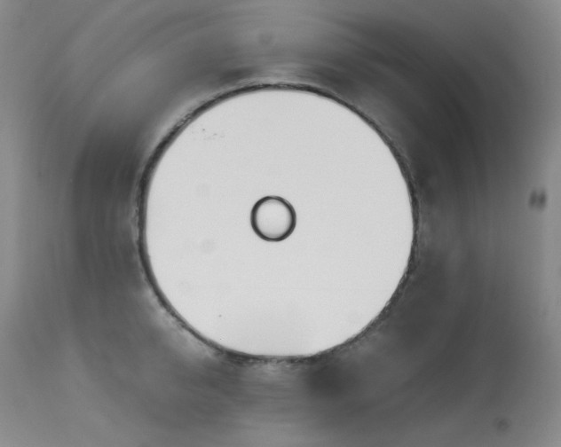 X0000113990950200910021219