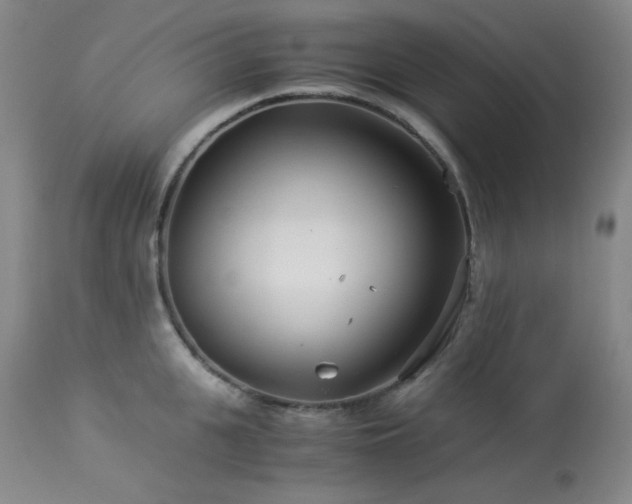 X0000113990951200910021219